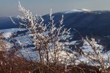 na Połoninie Wetlińskiej, Bieszczady, lodowe drzewa, w tle Rawki