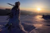 na Połoninie Wetlińskiej, Bieszczady