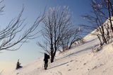 na Połoninie Wetlińskiej, Bieszczady