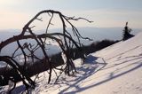 na Połoninie Wetlińskiej, Bieszczady, sople