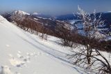 na Połoninie Wetlińskiej, Bieszczady