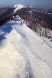 na Połoninie Wetlińskiej, Bieszczady, w tle Caryńska