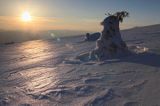 na Połoninie Wetlińskiej, Bieszczady