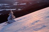 na Połoninie Wetlińskiej, Bieszczady