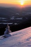 na Połoninie Wetlińskiej, Bieszczady