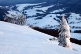 na Połoninie Wetlińskiej, Bieszczady