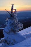 na Połoninie Wetlińskiej, Bieszczady