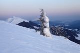 na Połoninie Wetlińskiej, Bieszczady, w tle Caryńska