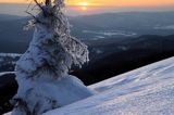 na Połoninie Wetlińskiej, Bieszczady