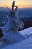 na Połoninie Wetlińskiej, Bieszczady