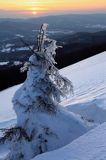 na Połoninie Wetlińskiej, Bieszczady