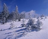 na Skrzycznem Beskid Śląski