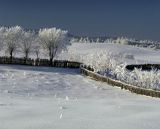 Lipie, Przedgórze Bieszczadzkie, Bieszczady