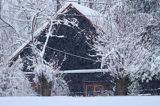 Chata, żłobek, Bieszczady