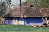 chata, Złaków Borowy, Mazowsze