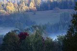 Jesienne mgły o wschodzie słońca w dolinie żłobka, Bieszczady