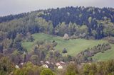 Dolina żłobka, Bieszczady