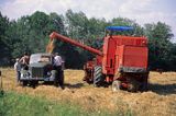 Poland harvest kombajn żniwa pole