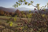 Tarnica, widok spod Rawek, Bieszczady