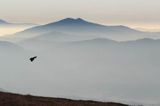 Widok z Wielkiej Rawki, Bieszczady