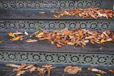 Jesienne liście na zabytkowych schodach, Żuławki, Żuławy Wiślane
