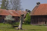 żywkowo, bociania wieś, bocian biały/ciconia ciconia/, Warmia